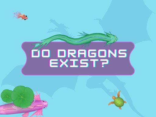 DO DRAGONS EXIST GAME